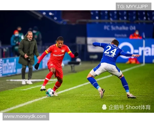 勒沃库森主场势不可挡，沙尔克04无缘逆转败局